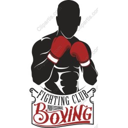 Professional Boxing