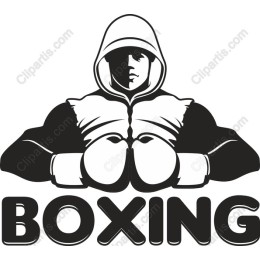 Boxing Champion
