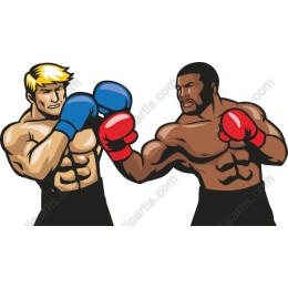 Fierce Boxer