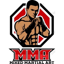 MMA Fighter