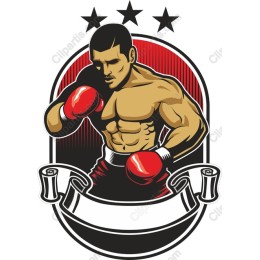 Dynamic Boxer