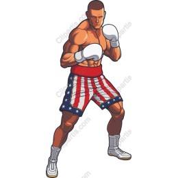 Patriotic Boxer