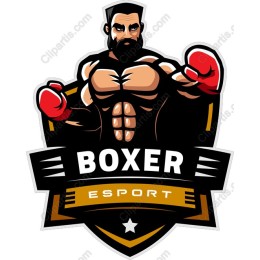 Dynamic Boxer Esport