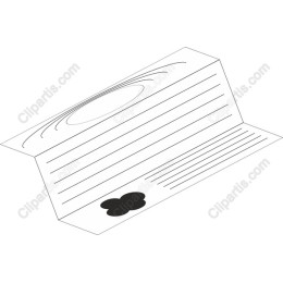 Elegant Folded Card