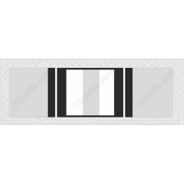 Elegant Minimalist Frame with Leaf Motif
