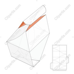 Modern Geometric Carton