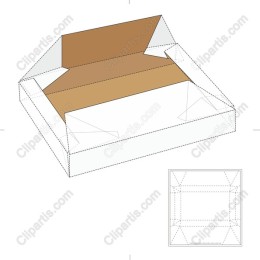 Elegant Packaging Box