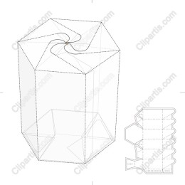 Hexagonal Carton Packaging