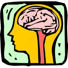Vibrant Brain