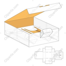 Premium Packaging Box - Gold Interior