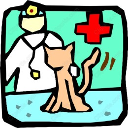 Veterinarian with Cat