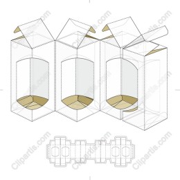 Three-Compartment Carton Box