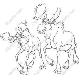 Playful Moose