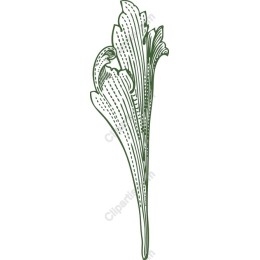 Whimsical Leaf