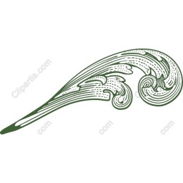 Elegant Swirl
