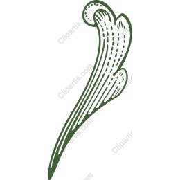 Elegant Flourish