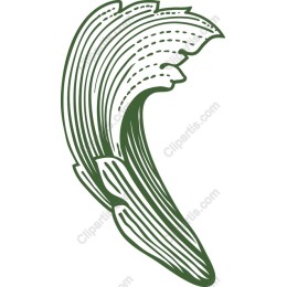 Wave-Inspired