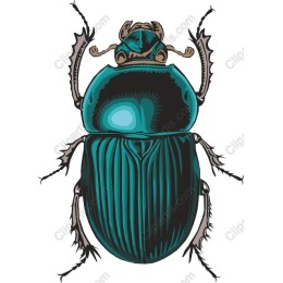 Vibrant Teal Beetle