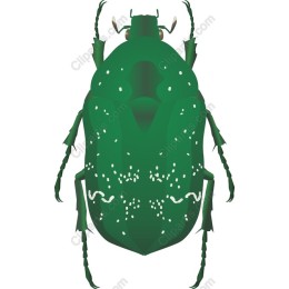 Vibrant Green Beetle