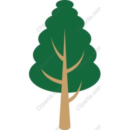 Stylized Evergreen Tree