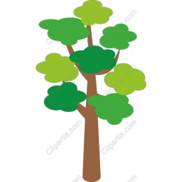 Lush Green Tree