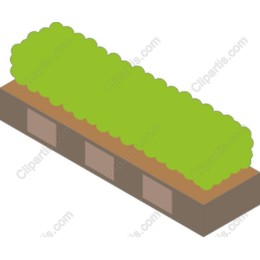 Lush Vegetable Bed