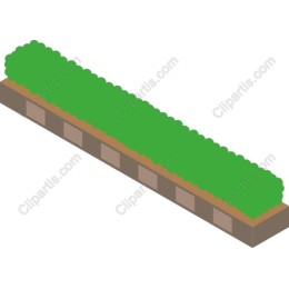 Lush Green Hedge