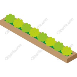 Vegetable Garden Bed