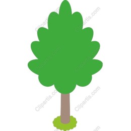 Vibrant Tree