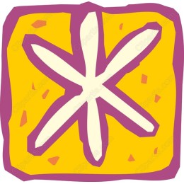 Vibrant Star Shape