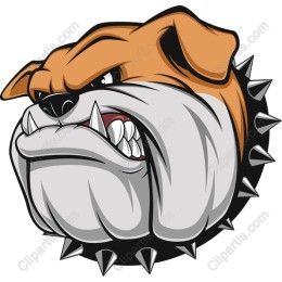 Fierce Bulldog