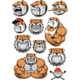 Muscular Bulldog Set