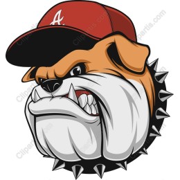 Fierce Bulldog with Cap