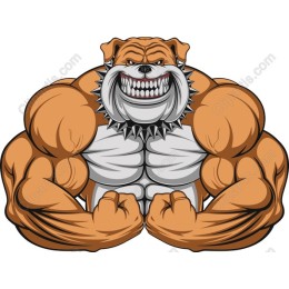 Mighty Bulldog