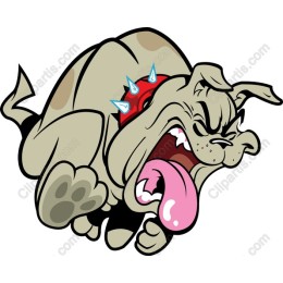 Fierce Bulldog