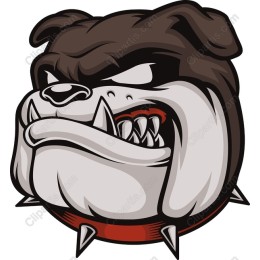 Fierce Bulldog