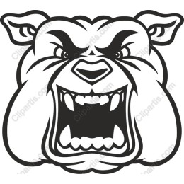 Angry Bulldog