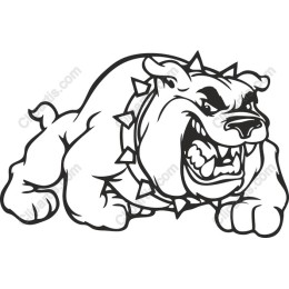 Bulldog Fury