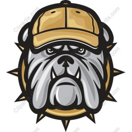 Bulldog Fury