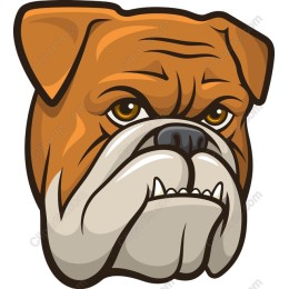 Bulldog