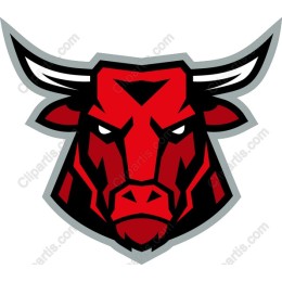 Fierce Bull Head