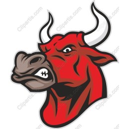 Fierce Bull Head