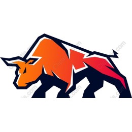 Dynamic Bull