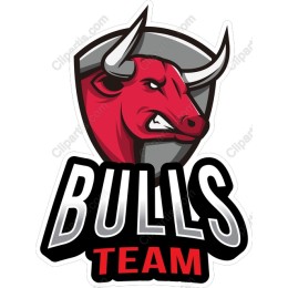 Fierce Bulls Team