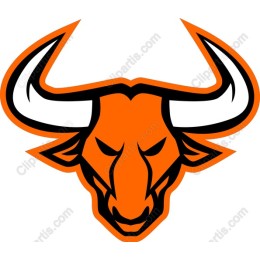Fierce Bull Head