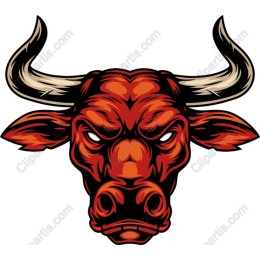 Fierce Bull Head