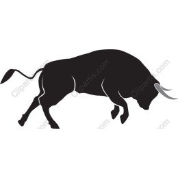 Dynamic Bull
