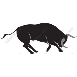 Black Bull