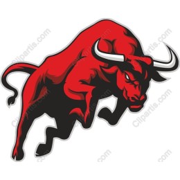 Fierce Red Bull