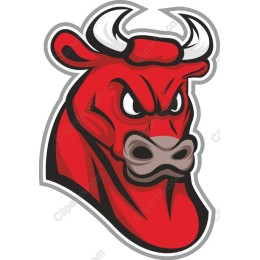 Fierce Red Bull